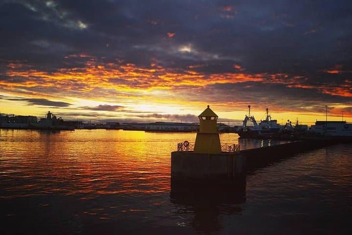 Midnight Sun Whale Watching from Reykjavik: Evening Whale Tours in Faxaflói Bay photo 6