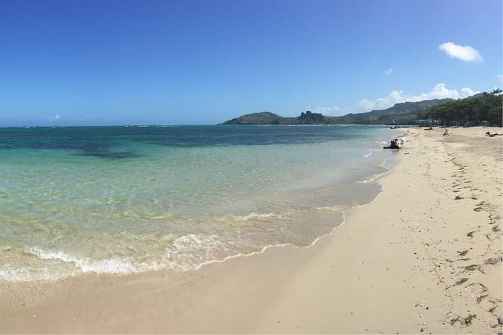 ATV Adventure from Amber Cove: Montellano Trails to Playa Bergantín photo 4