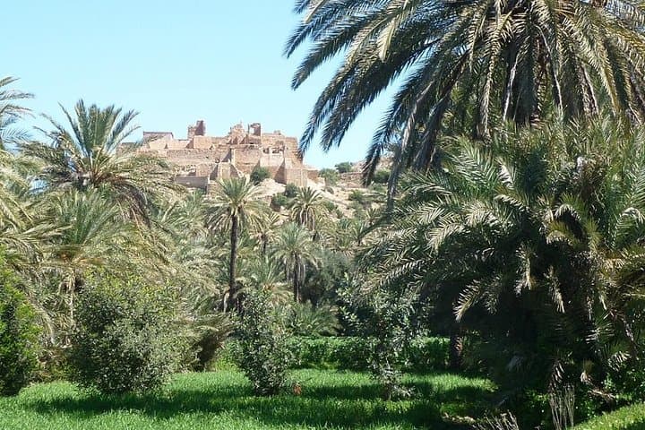 Taroudant & Tiout Oasis Day Trip from Agadir: Ramparts, Markets and Oasis Lunch photo 3