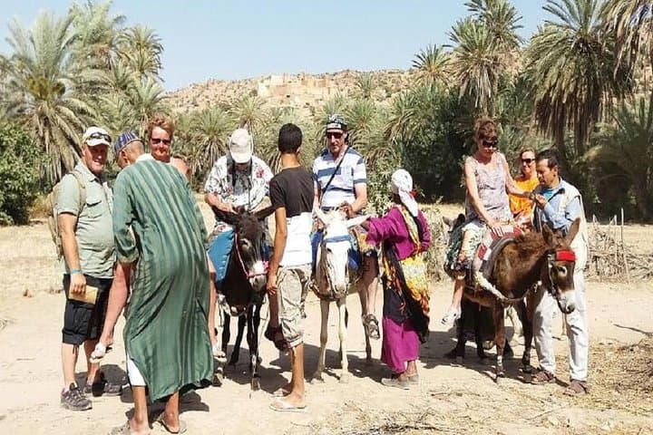 Taroudant & Tiout Oasis Day Trip from Agadir: Ramparts, Markets and Oasis Lunch photo 5