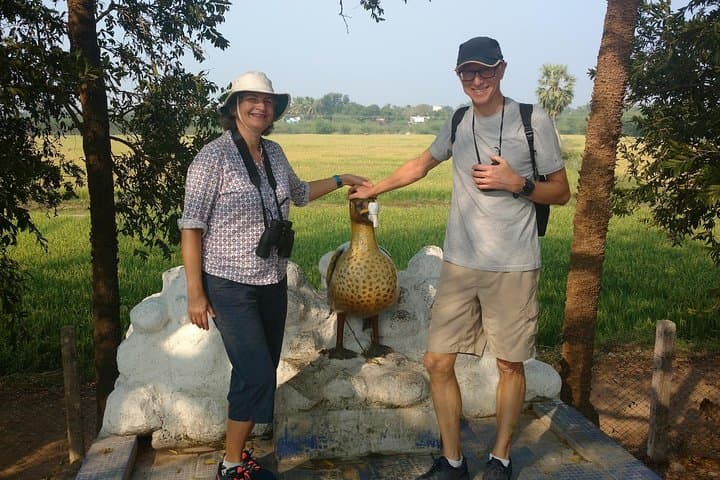 Chennai Wildlife Trail: Crocodile Bank, Guindy Park & Vandalur Zoo in a Day photo 3