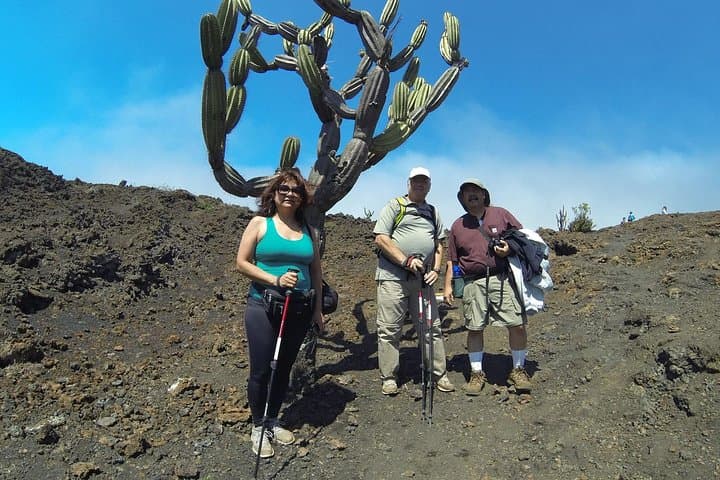 5-Day Galapagos Multisport on Isabela Island — Biking, Hiking & Snorkeling Adventure photo 6