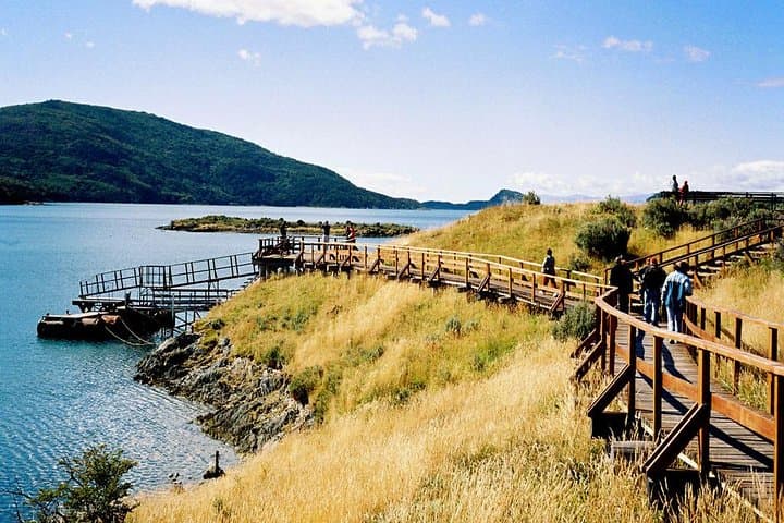 Exploring Tierra del Fuego National Park: Half-Day from Ushuaia to Lapataia Bay photo 3