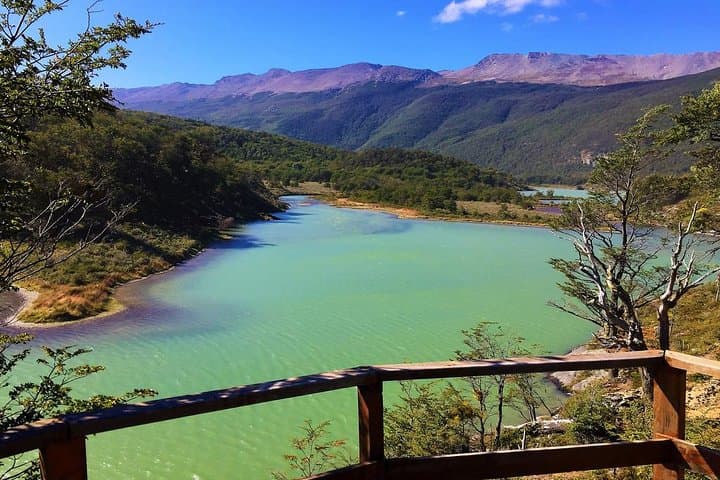 Exploring Tierra del Fuego National Park: Half-Day from Ushuaia to Lapataia Bay photo 4