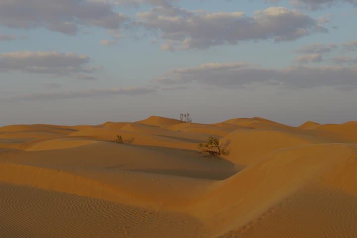 Empty Quarter Desert Adventure: Wadi Dawka, Frankincense Trails & Ubar Sunset photo 2