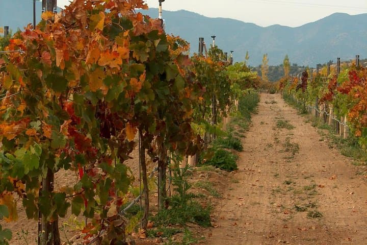Water-to-Wine Kayak Trip on the Verde River from Cottonwood photo 4