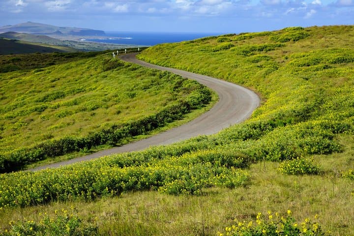 Rano Kau & Orongo Half-Day Private Tour — Rapa Nui Birdman Circuit photo 6