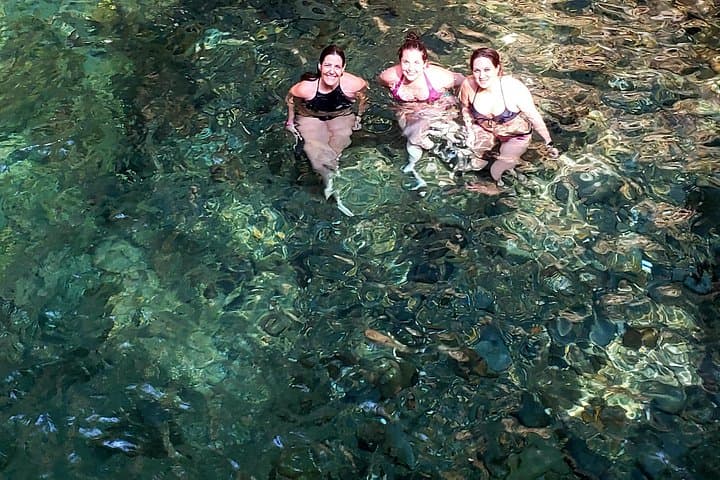 Waterfall Discovery in Costa Rica: Jungle Hike, Swim & Coffee Tasting from Tamarindo photo 3