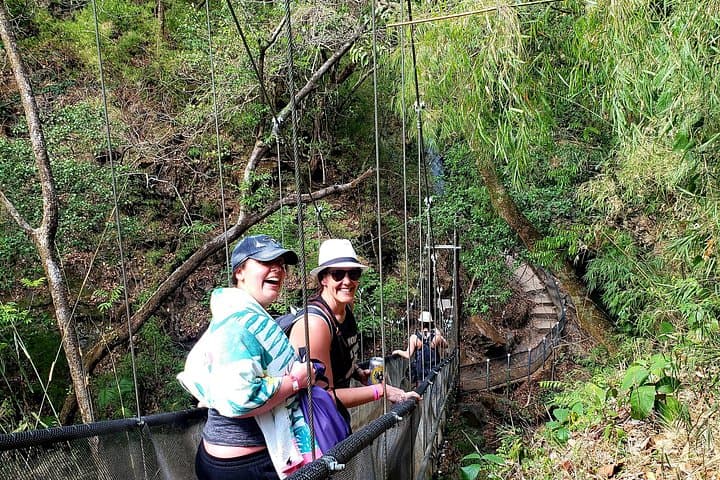 Waterfall Discovery in Costa Rica: Jungle Hike, Swim & Coffee Tasting from Tamarindo photo 4