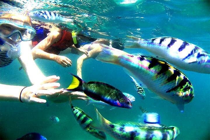 Blue Lagoon Bali Snorkeling: Shore-Entry Coral Gardens at Padangbai photo 3