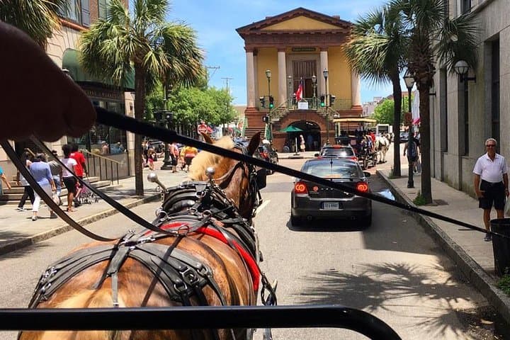 Charleston Old South Carriage: 1‑Hour Historic Horse & Carriage Tour photo 4