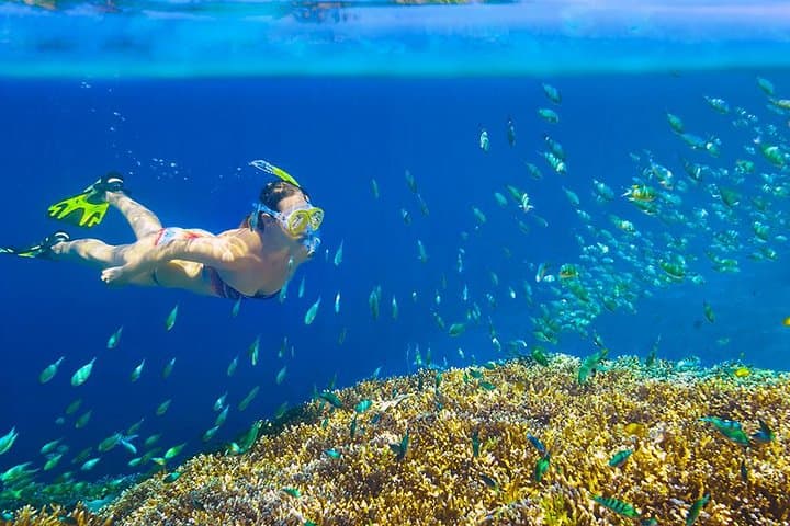 Private 3-Hour Snorkel Tour to El Arco and Lover's Beach, Cabo San Lucas