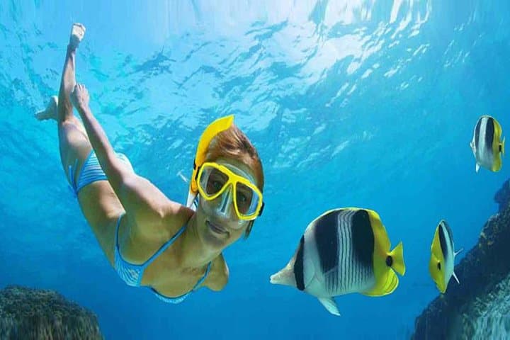 Private 3-Hour Snorkel Tour to El Arco and Lover's Beach, Cabo San Lucas photo 2