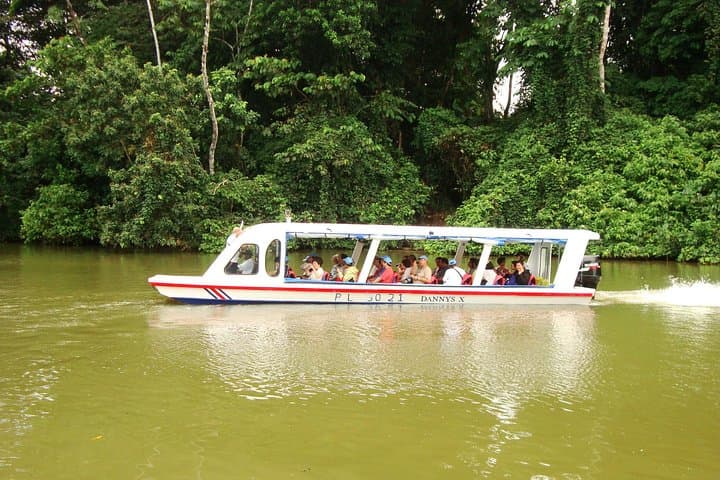 Explore Sarapiqui River Cruise and Rainforest Hanging Bridge in Costa Rica