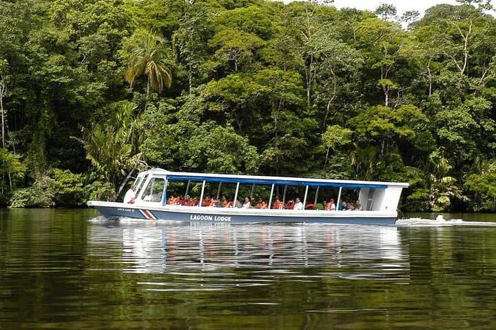 Explore Sarapiqui River Cruise and Rainforest Hanging Bridge in Costa Rica photo 3