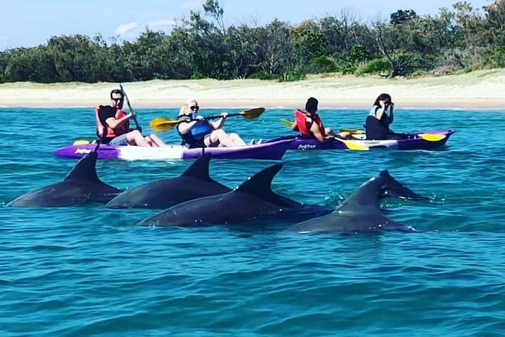Gold Coast Morning Kayak and Snorkel to Wavebreak Island — Dolphins, Fish & Breakfast photo 2