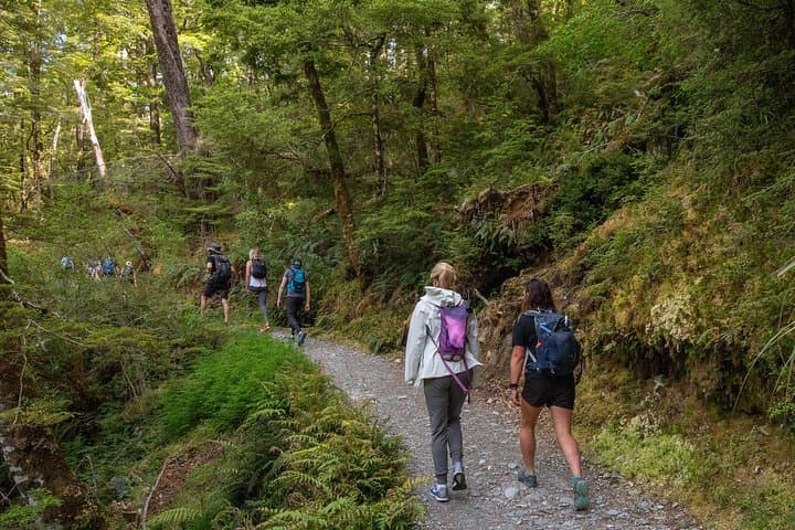 Explore New Zealand’s Routeburn Track: Full-Day Guided Hike from Queenstown photo 2