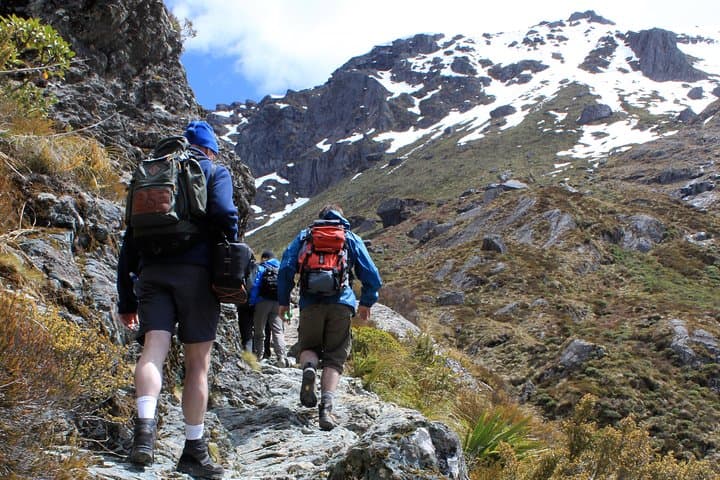 Explore New Zealand’s Routeburn Track: Full-Day Guided Hike from Queenstown photo 4