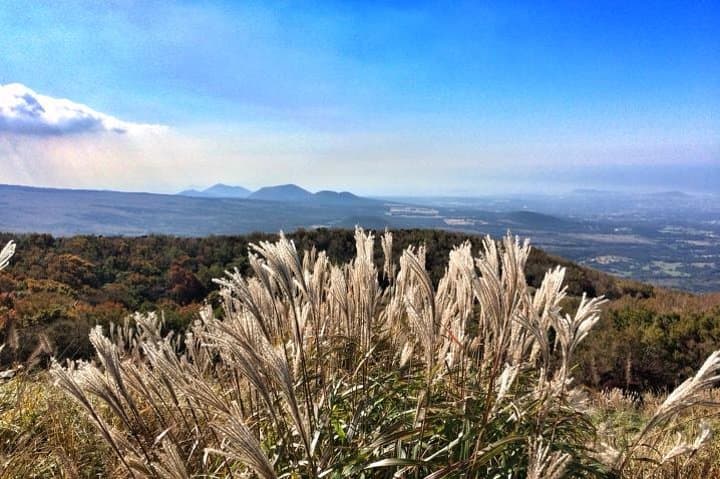 Experience Jeju Island’s South Course: A Premium UNESCO Small Group Day Tour photo 3