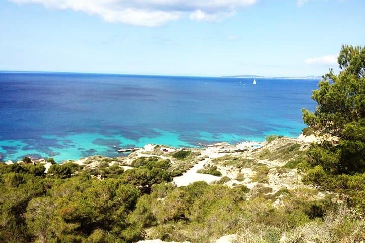 Introductory Scuba Dive in Mallorca's Marine Nature Reserve photo 3