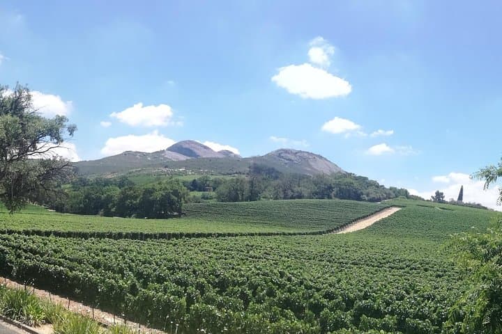 Private Full-Day Cape Winelands Wine Tour — Stellenbosch & Franschhoek