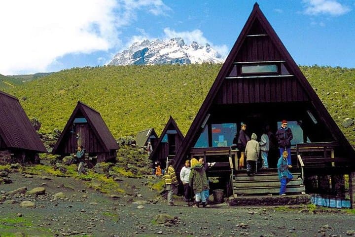 Kilimanjaro Day Hike to Mandara Hut from Moshi — Rainforest Trek & Views photo 2
