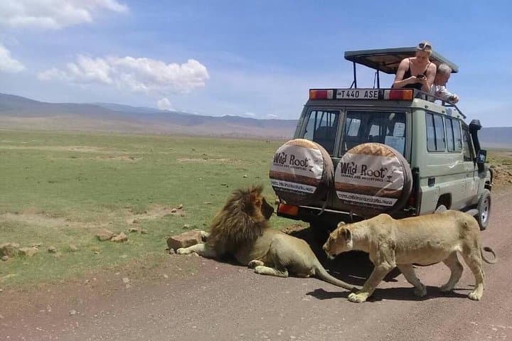 4-Day Big Five Safari: Tarangire, Ngorongoro & Lake Manyara from Arusha