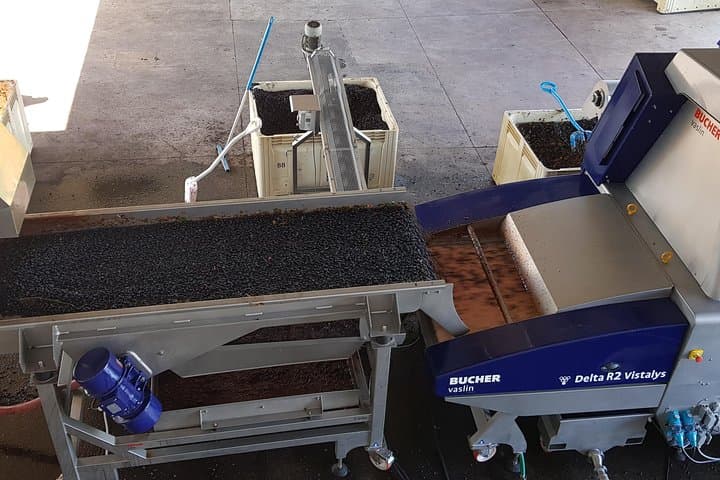 Full-Day Afrivista Wine Tour from Stellenbosch — Cellars, Tastings & Lunch photo 2