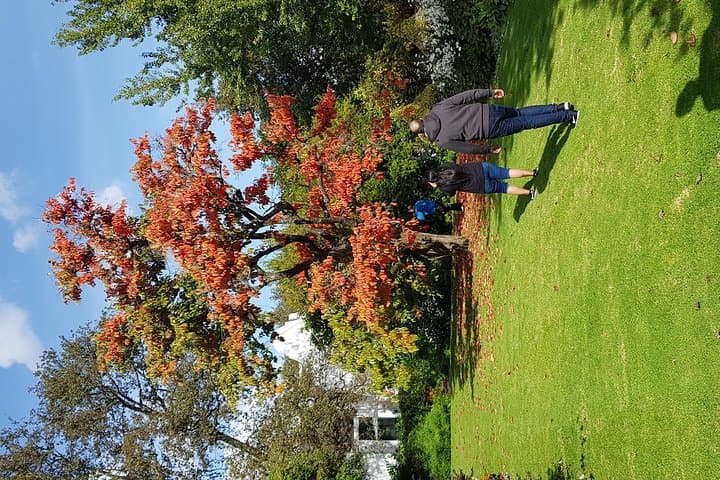 Full-Day Afrivista Wine Tour from Stellenbosch — Cellars, Tastings & Lunch photo 4