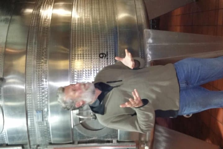 Full-Day Afrivista Wine Tour from Stellenbosch — Cellars, Tastings & Lunch photo 6