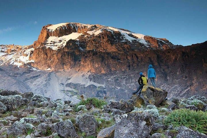 8-Day Lemosho Route Kilimanjaro Climb: Route Guide, Summit Tips & Itinerary photo 4