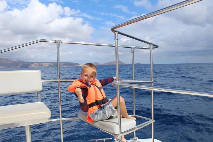 Tenerife Whale and Dolphin Catamaran Cruise from Costa Adeje photo 3