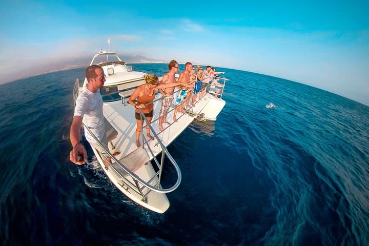 Tenerife Whale and Dolphin Catamaran Cruise from Costa Adeje photo 4