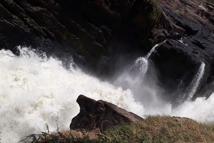 3-Day Private Safari to Murchison Falls National Park: Big Five, Boat Cruise & Chimp Tracking photo 1