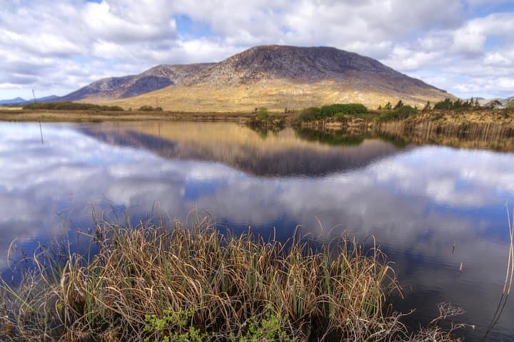 Connemara Blanket Bog & Beach Ecology Walk — Private Full-Day from Letterfrack photo 4