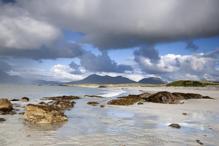 Connemara Blanket Bog & Beach Ecology Walk — Private Full-Day from Letterfrack photo 5