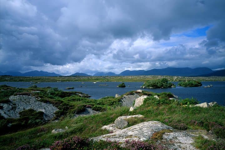 Connemara Blanket Bog & Beach Ecology Walk — Private Full-Day from Letterfrack photo 2