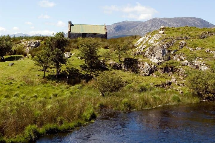 Connemara Blanket Bog & Beach Ecology Walk — Private Full-Day from Letterfrack photo 3
