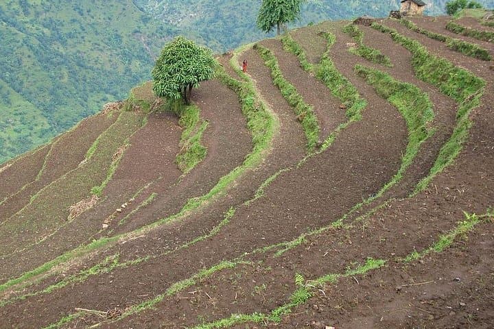 5-Day Barpak Village Homestay Hike: Viewpoints, Gurkha History & Local Culture photo 2