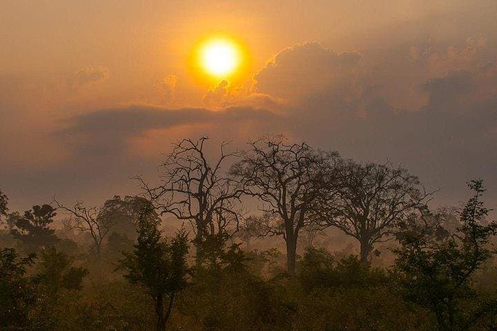 2-Day Udawalawe Safari from Bentota — Elephant Encounters & Night Drives photo 4