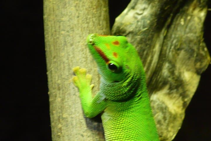 Inside Zaragoza's Fluvial Aquarium: Explore Europe's Largest Freshwater Tanks photo 3