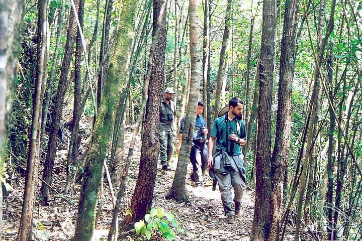 Hoi An to Bach Ma National Park: Full-Day Summit Hike, Waterfalls & Colonial Ruins photo 4