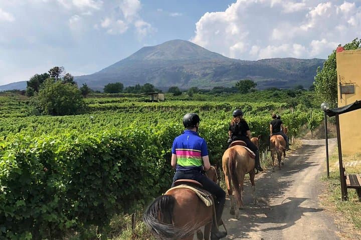 Horseback on Vesuvius: Scenic Ride, Volcanic Wine Tasting & Lunch