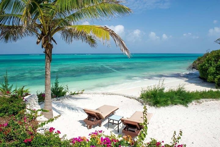 Congo to Zanzibar: 13-Day Gorillas, Nyiragongo Summit & Zanzibar Beach Holiday