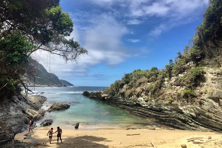 Garden Route & Addo 5-Day Adventure: Cape Town to Port Elizabeth photo 4