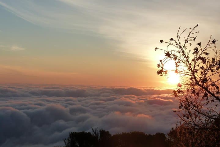 Kilimanjaro Machame Route: 6-Day Guided Trek to Uhuru Peak photo 2