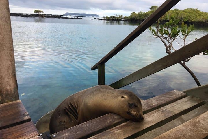 5-Day Galapagos Island Hopping Classic: Islands, Sharks and Giant Tortoises photo 2