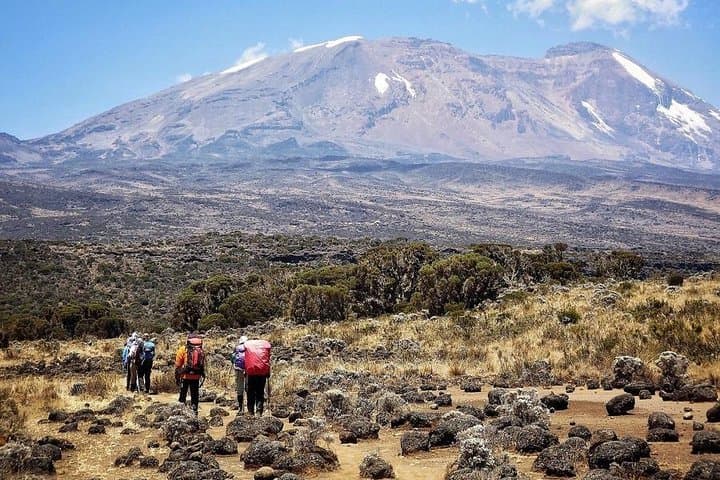 Lemosho Route Mount Kilimanjaro: 7-Day Trek to Uhuru Peak photo 5