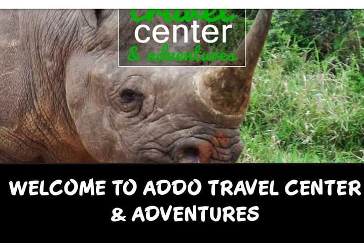 Addo Big 5 Full-Day Safari: Elephant Drives, Birding & Coastal Wilderness photo 3