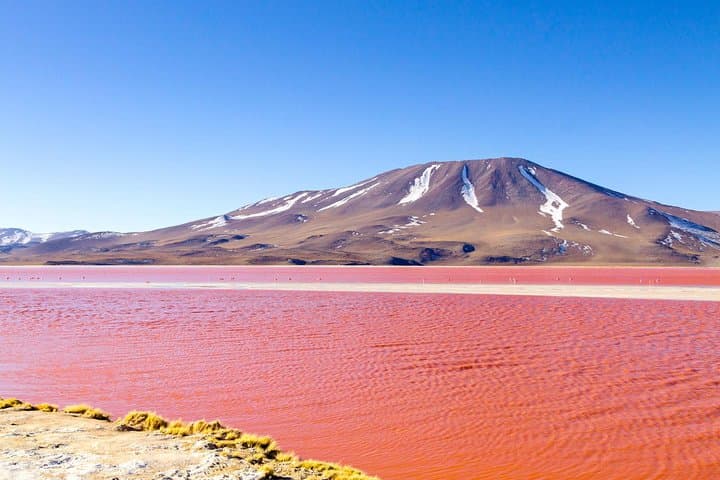 4-Day La Paz to Uyuni Salt Flat Adventure: Tiwanaku, Incahuasi & Colchani photo 3